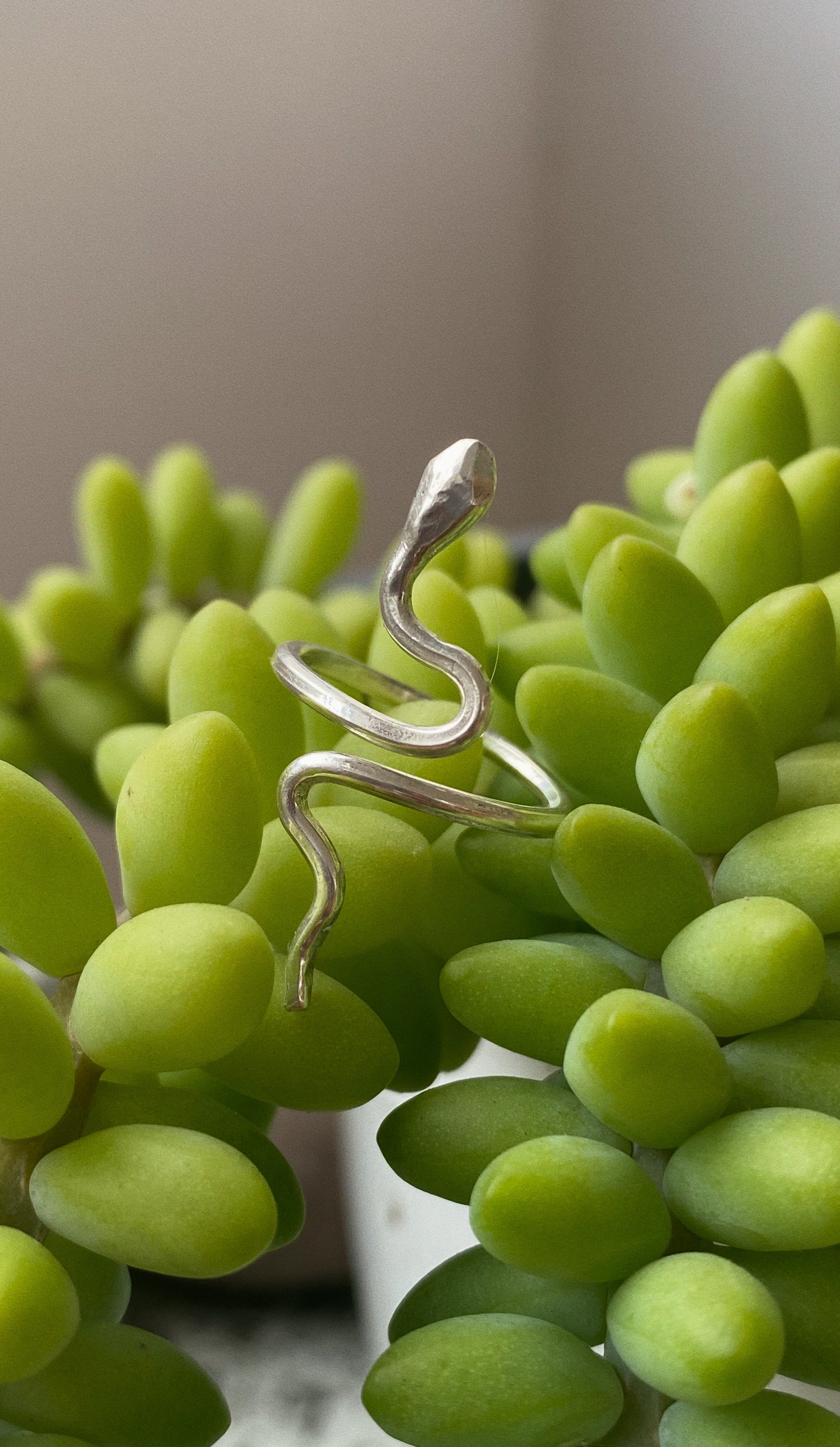 Anillo Serpiente graduable en plata